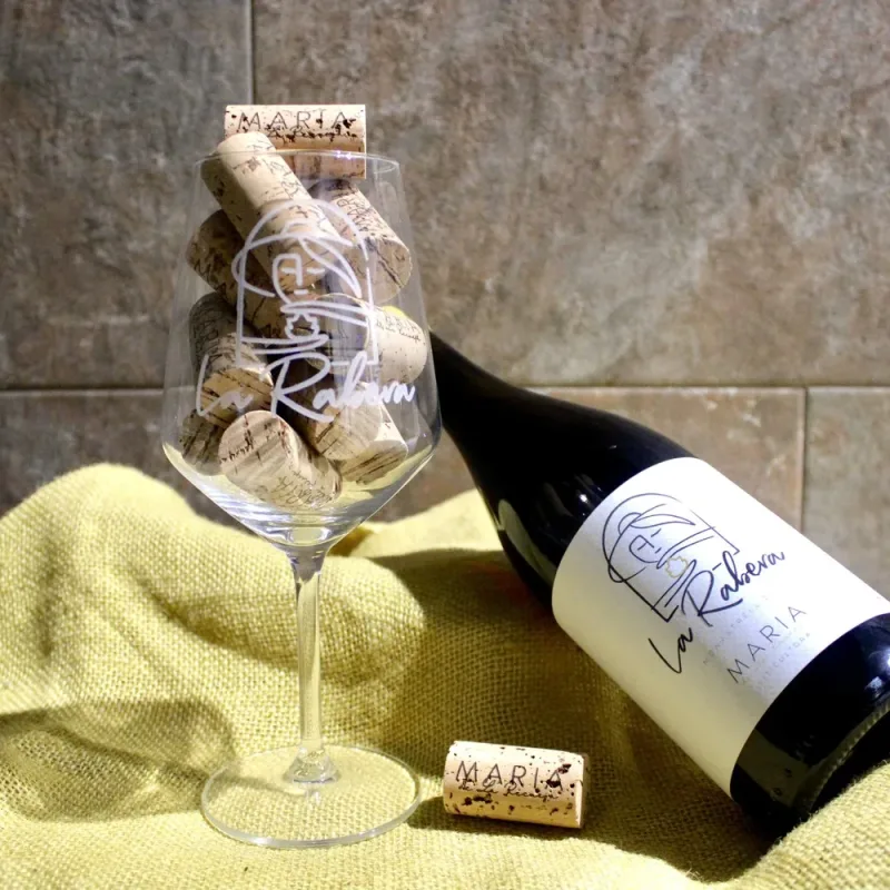 El proyecto- los vinos